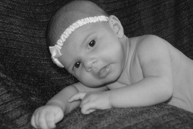 [DSC_8629b3.jpg]