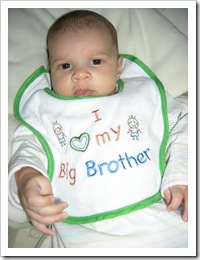 8 wks 012