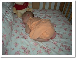 11 weeks 040