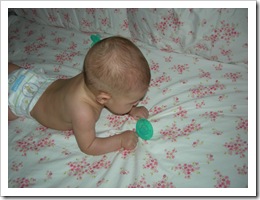 12 weeks 005