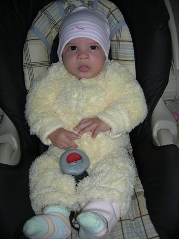 [15weeks0163.jpg]