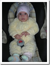 15 weeks 016