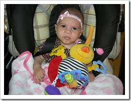 15 weeks 017