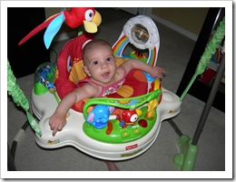 17 wks 006