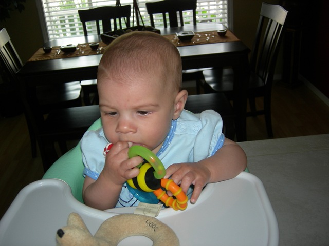 [18wks0453.jpg]