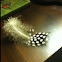 Guinea Fowl Feather