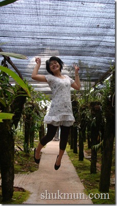 DSC01241