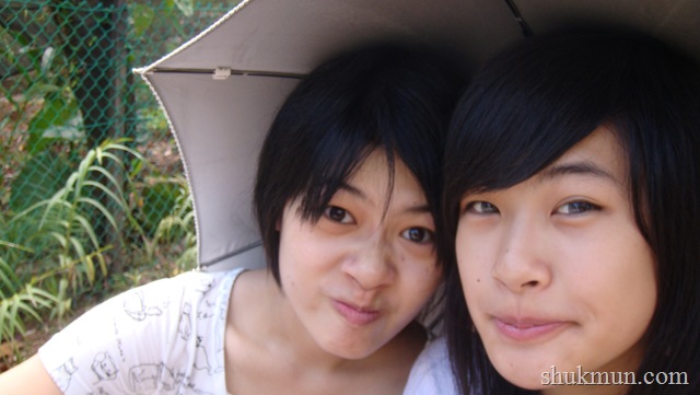 [DSC01231[11].jpg]