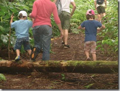 06 - Imagem 081