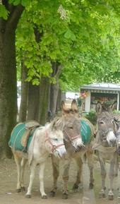 [Jardin du Ranelagh-horse[5].jpg]