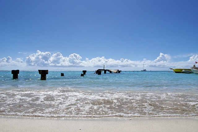 [DSC04351 ka[2].jpg]