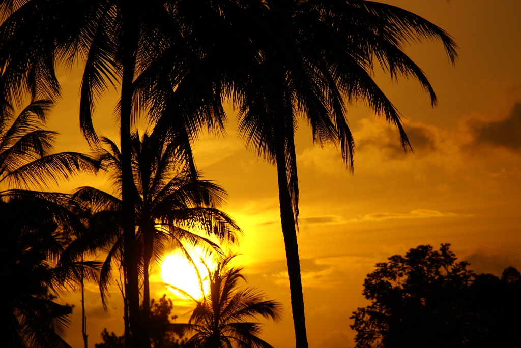 [DSC04041 ka[1].jpg]