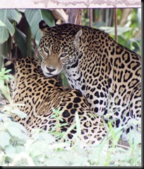 dsc01290 ka
