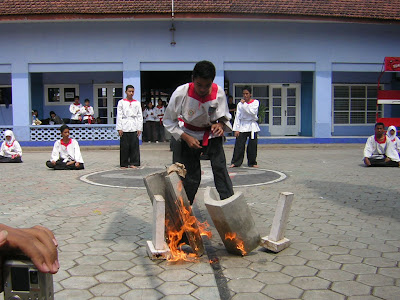Merpati Putih