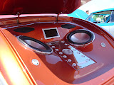 DSC07208.jpg