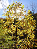DSC07836.JPG