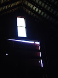 DSC08931.JPG