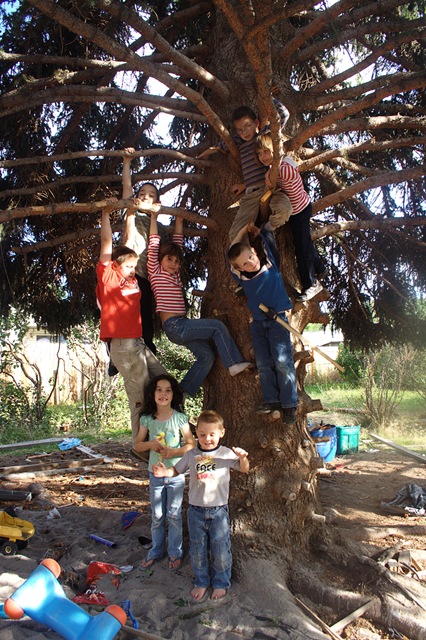 [Kids in the tree[6].jpg]