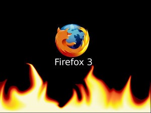[Firefox_3_Wallpaper_by_chuckyrocks2007[6].jpg]