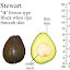 Avocado 'Stewart'