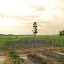 Spirit Wind's Vegetable garden