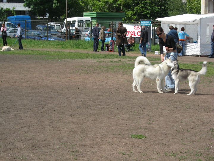 Качена снимка