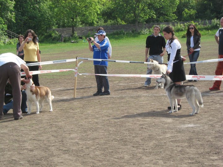 Качена снимка