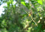 IMG_3730.JPG