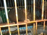 IMG_4759.JPG
