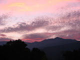 IMG_4393.JPG