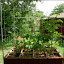 Srats56's Square Foot garden