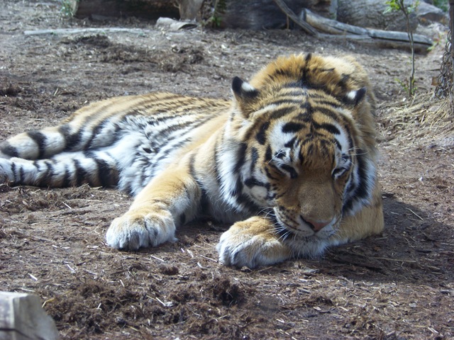 [20080502_08204.jpg]