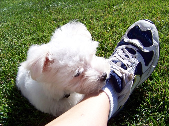[2008 10 08_2013[3].jpg]