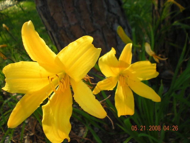 [summer 2008 006[3].jpg]