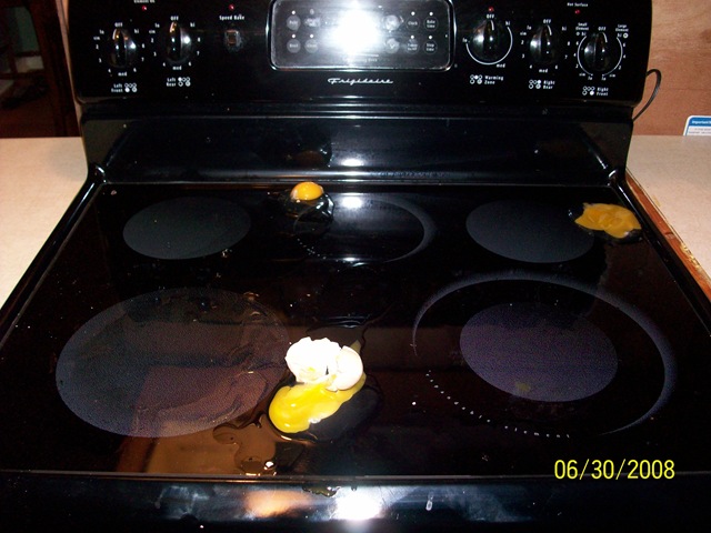 [july 4 2008 001[4].jpg]