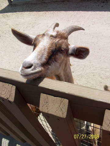 [pioneerdays08 049[3].jpg]