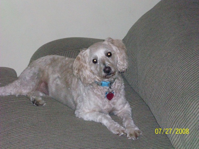 [pioneerdays08 093[3].jpg]