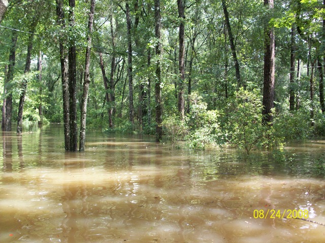 [storm20080848.jpg]