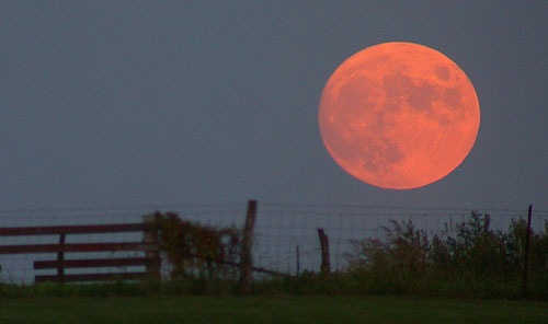 [Harvest_moon[3].jpg]