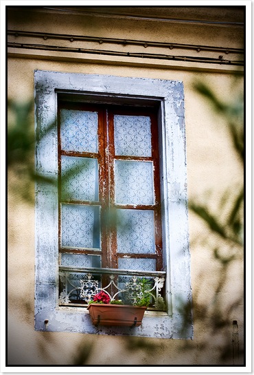 20080721_3963