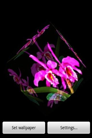 3D Orchid 6