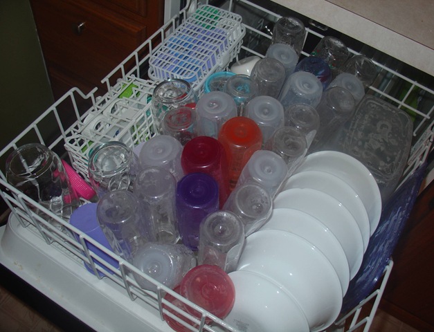 [DSC08397 bottles[10].jpg]