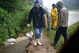 dsc05216.jpg