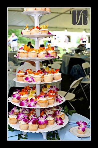 [Cupcakes 1[5].jpg]