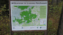 Lorenzer Reichswald