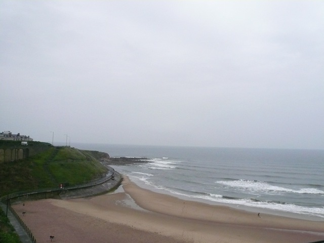 [P10603612.jpg]