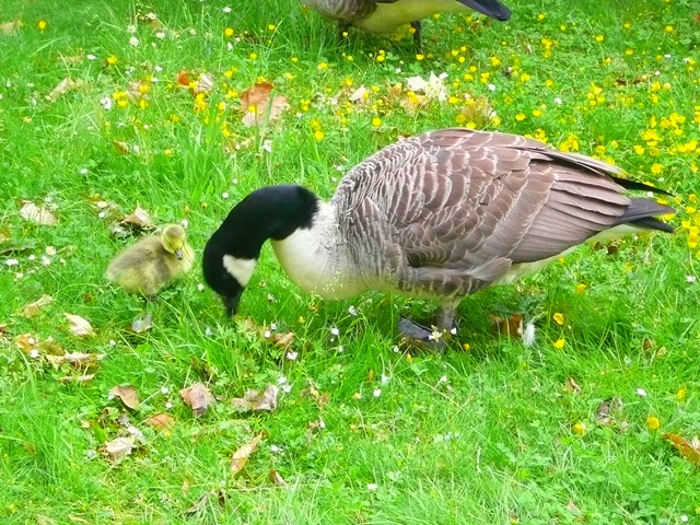 [P10601255.jpg]
