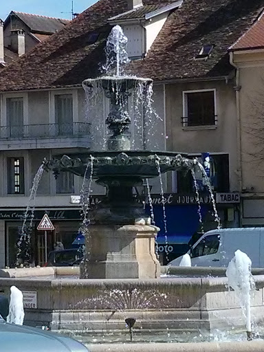 Fontaine Des Terreaux Belley