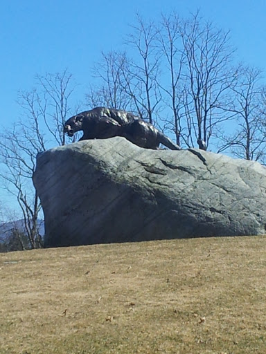 Middlebury Panther