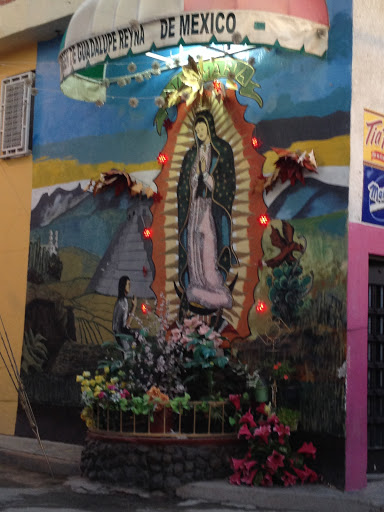 Virgen En Ricardo Rocha
